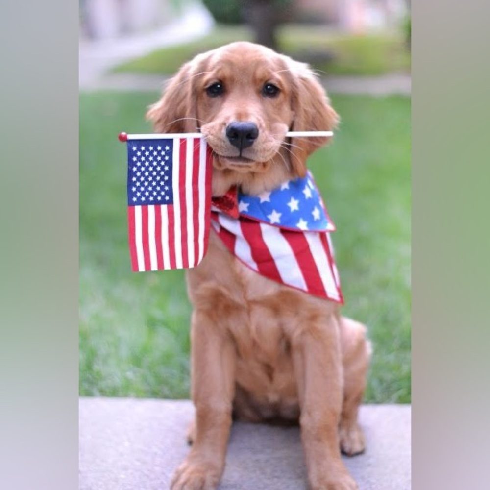 HAPPY LABOR DAY